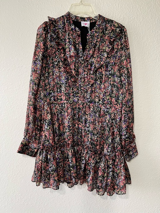 Buddy Love Dresses & Skirts - Buddy Love Celia Floral Sm Mini Dress Sheer Long Sleeve Tie Waist Ruffles NWOT